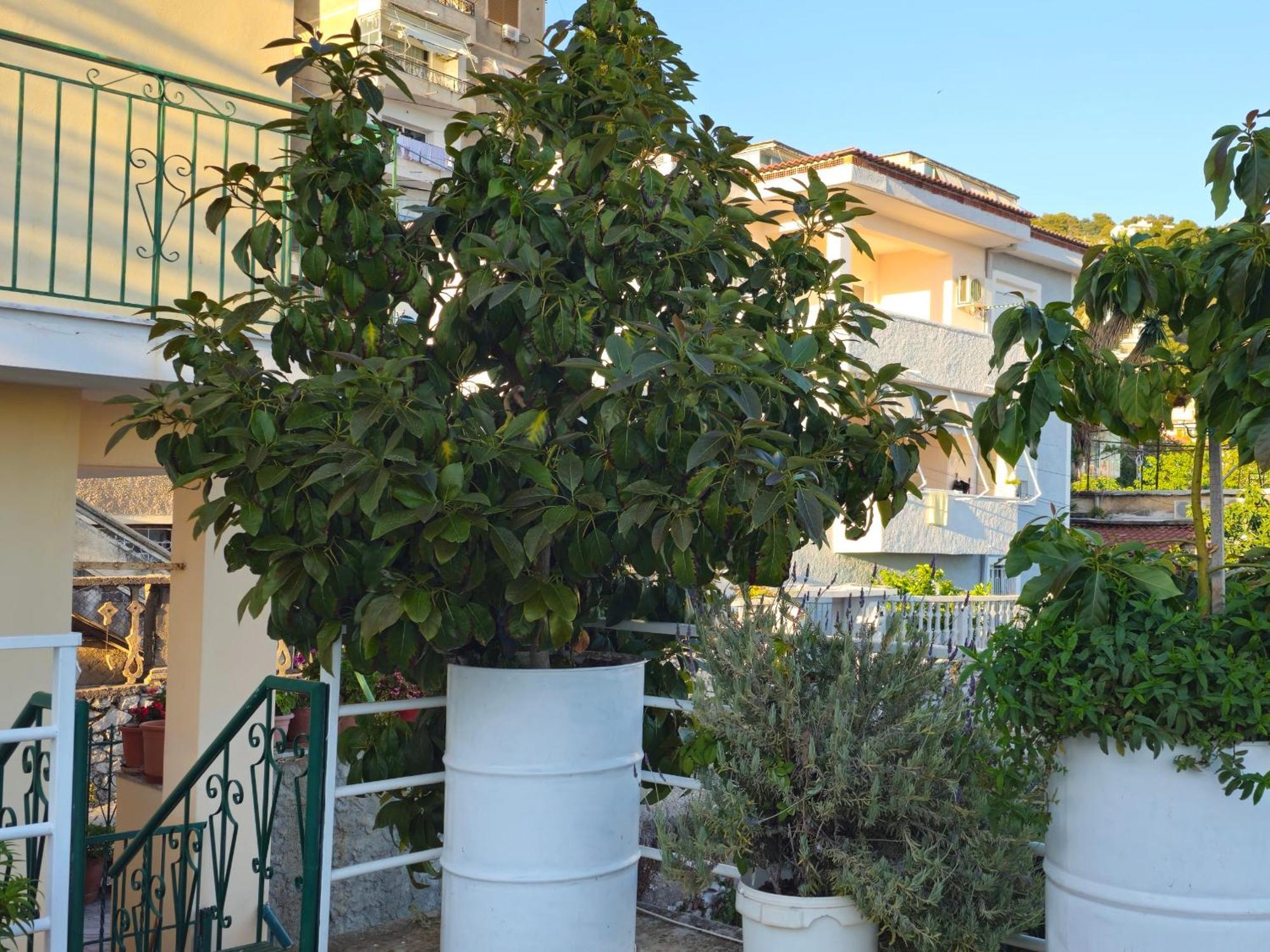 Joen Apartments Sarande Luaran gambar